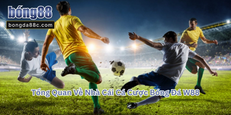 W88